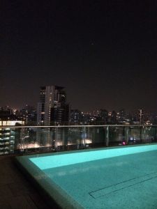 Rooftop pool and view