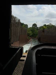The Amazon ride