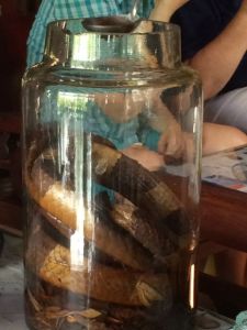 Snake wine