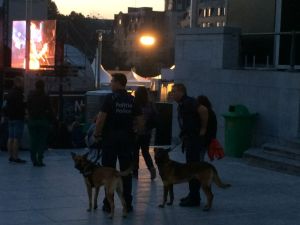 Police with doggies at the festival