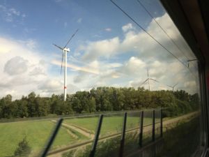 The view from the train