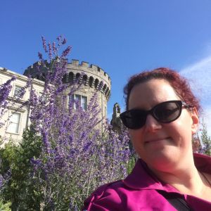 Gardens and Dublin Castle